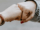 post-thumb-03